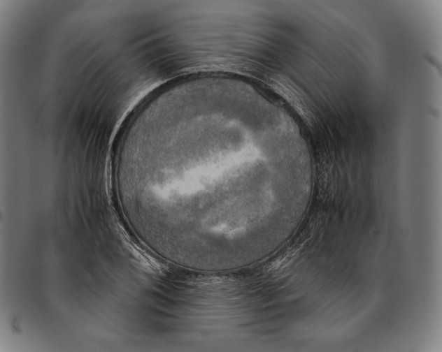 X0000095121076200801041218