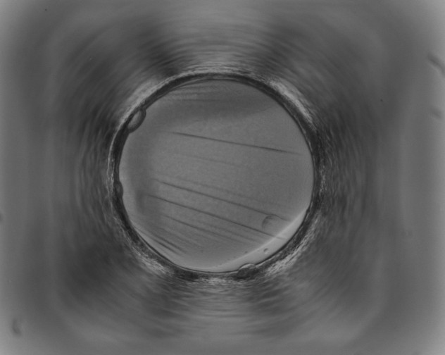 X0000095121077200801041218