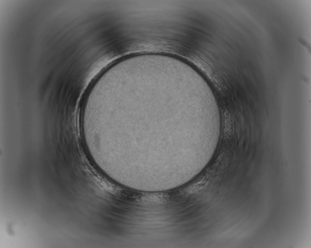 X0000095121078200801041218