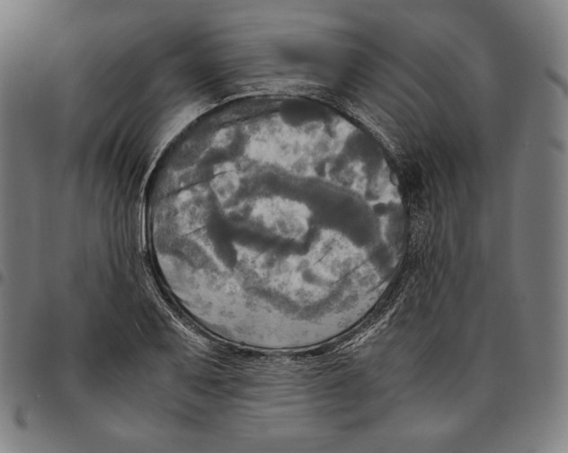 X0000095121079200801041218