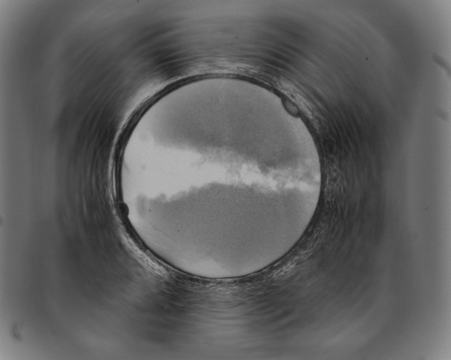 X0000095121080200801041218