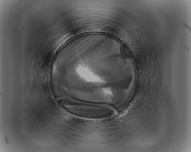 X0000095121081200801041218