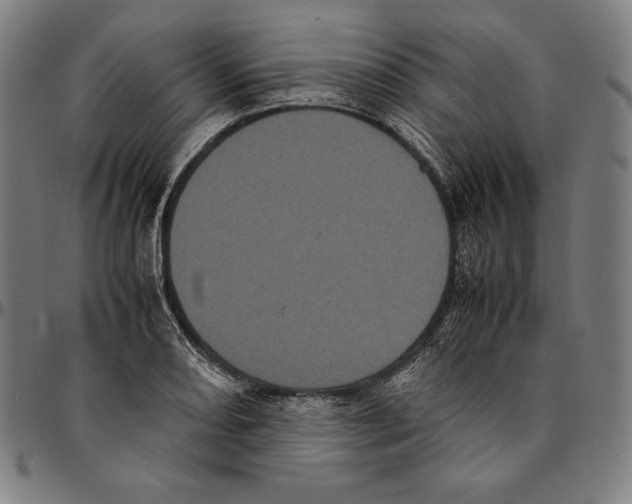 X0000095121082200801041218