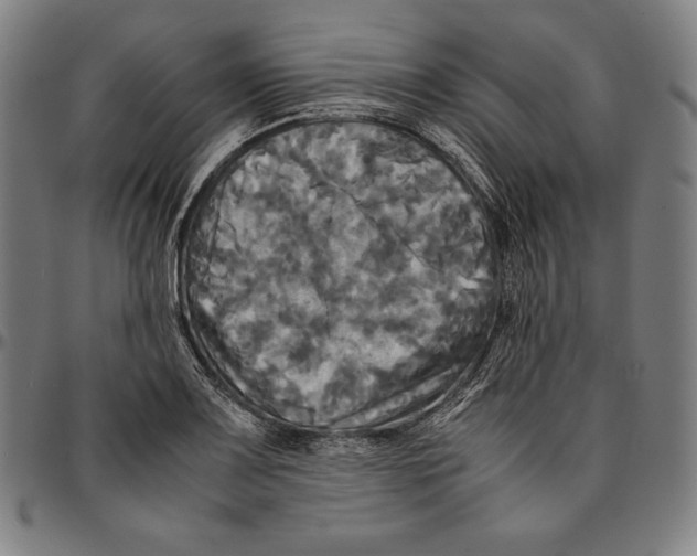 X0000095121083200801041218