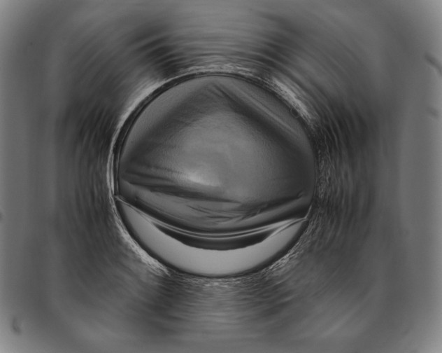 X0000095121084200801041218