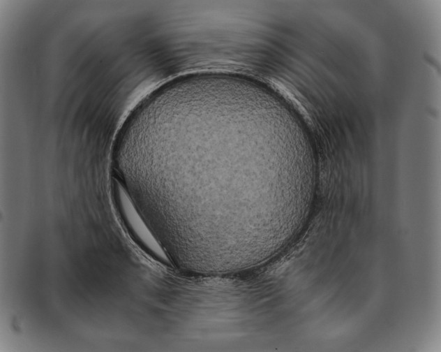 X0000095121085200801041218