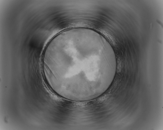 X0000095121086200801041218