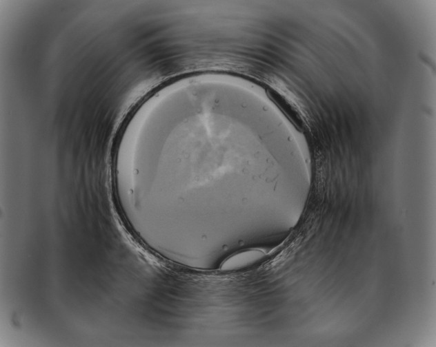 X0000095121088200801041218