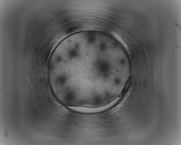 X0000095121089200801041218
