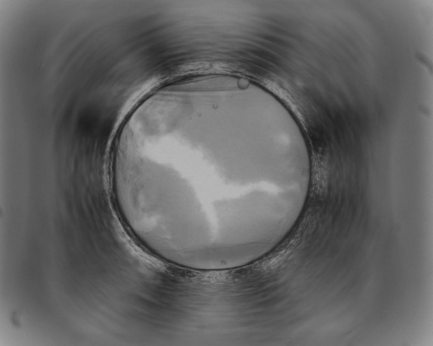 X0000095121090200801041218