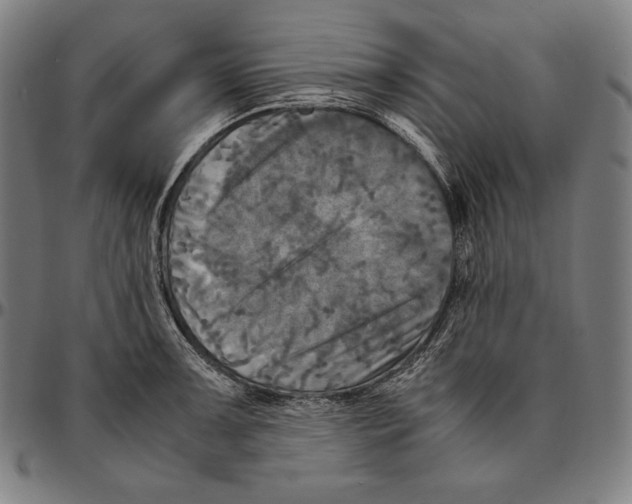 X0000095121091200801041218