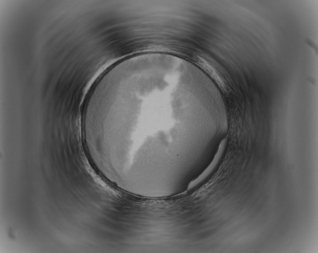 X0000095121092200801041218