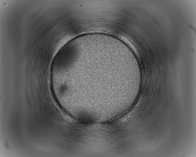 X0000095121093200801041218