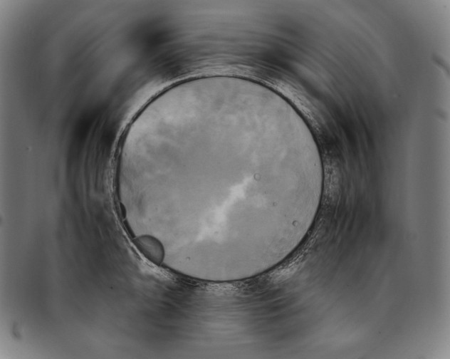 X0000095121094200801041218