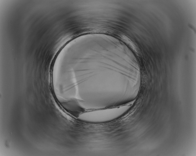 X0000095121095200801041218