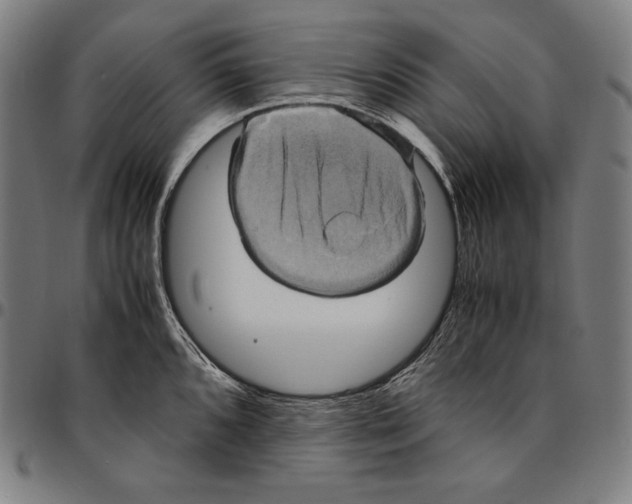 X0000095121096200801041218