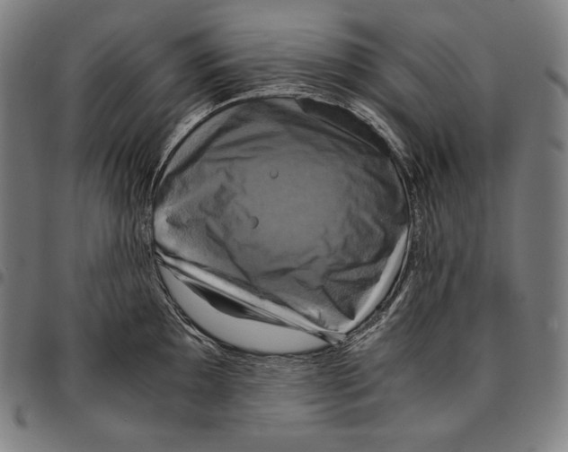 X0000095121097200801041218