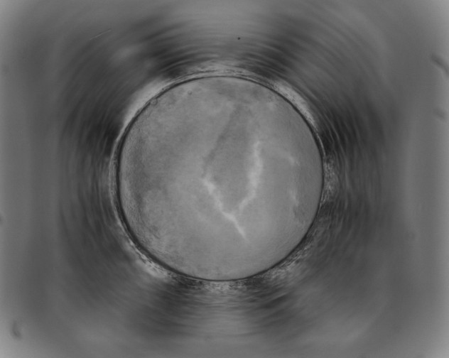 X0000095121098200801041218