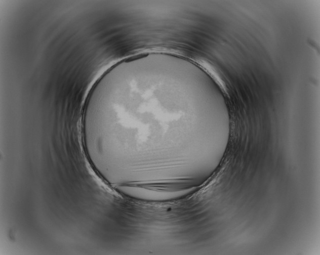 X0000095121100200801041217