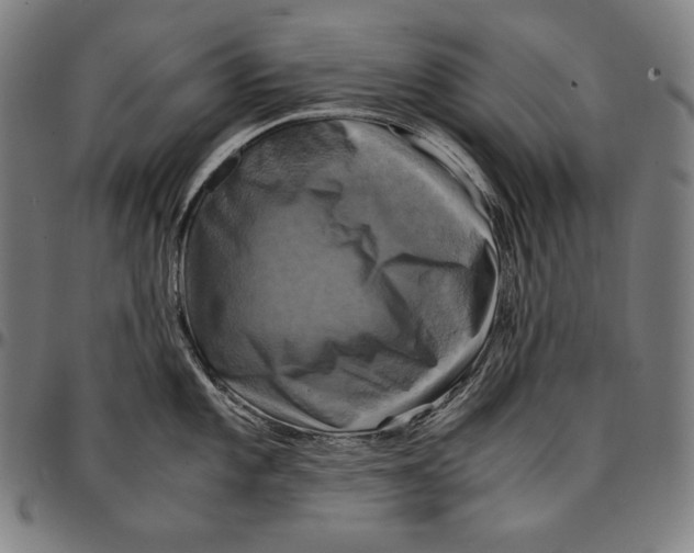 X0000095121101200801041217