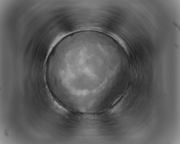 X0000095121102200801041217