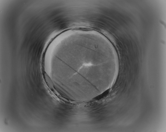 X0000095121104200801041217