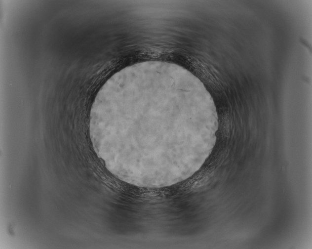 X0000095121105200801041217