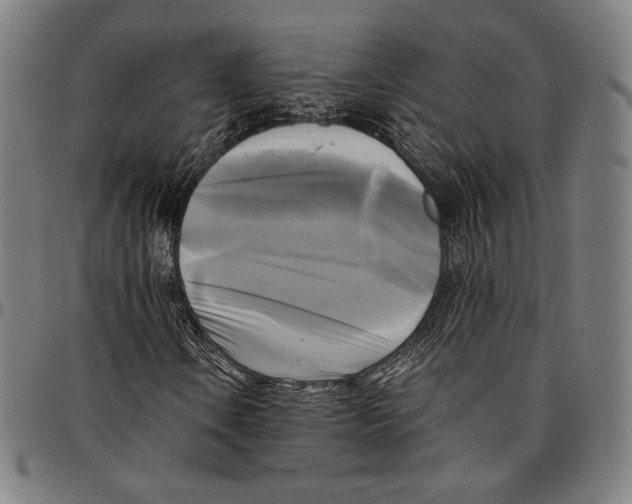 X0000095121106200801041217