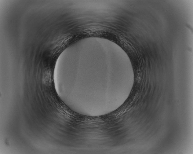 X0000095121108200801041217