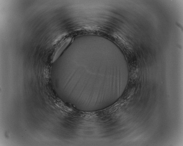 X0000095121110200801041217