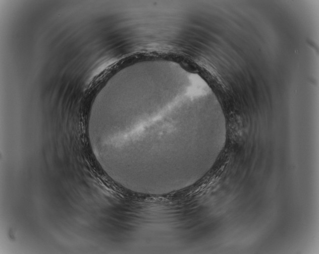 X0000095121112200801041217