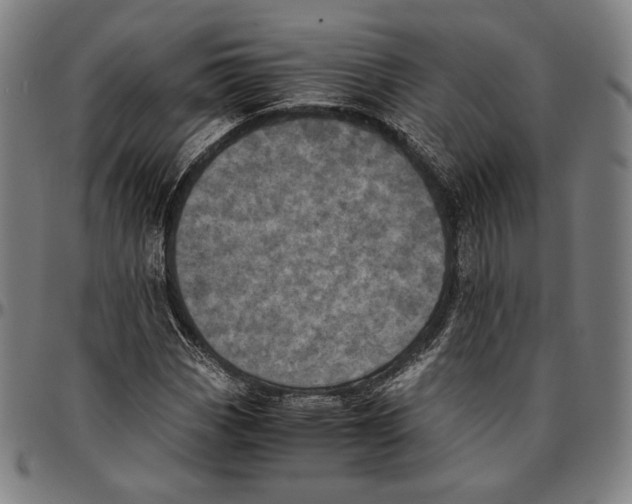 X0000095121113200801041217