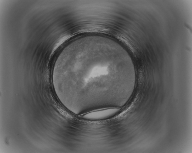 X0000095121114200801041217