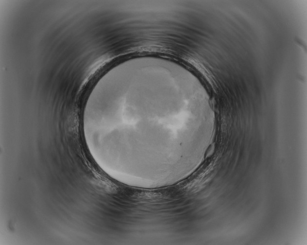 X0000095121115200801041217