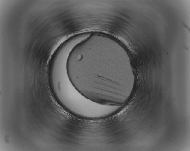 X0000095121118200801041217