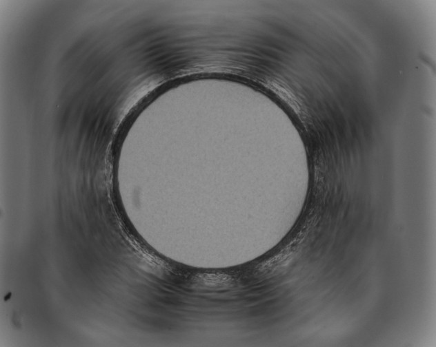 X0000095121119200801041217