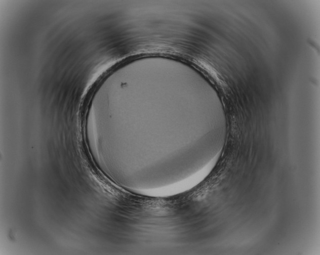 X0000095121120200801041217