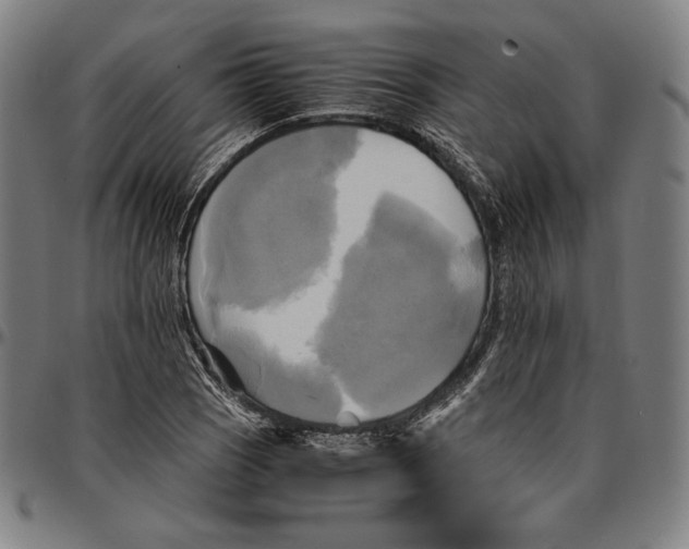 X0000095121121200801041217