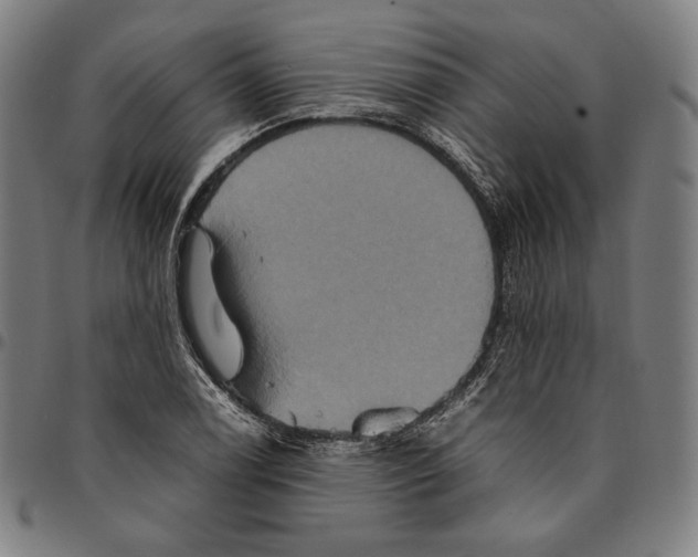 X0000095121122200801041217