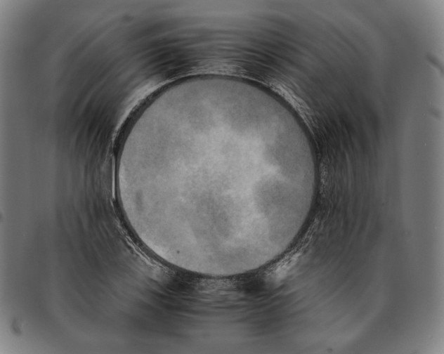 X0000095121123200801041217