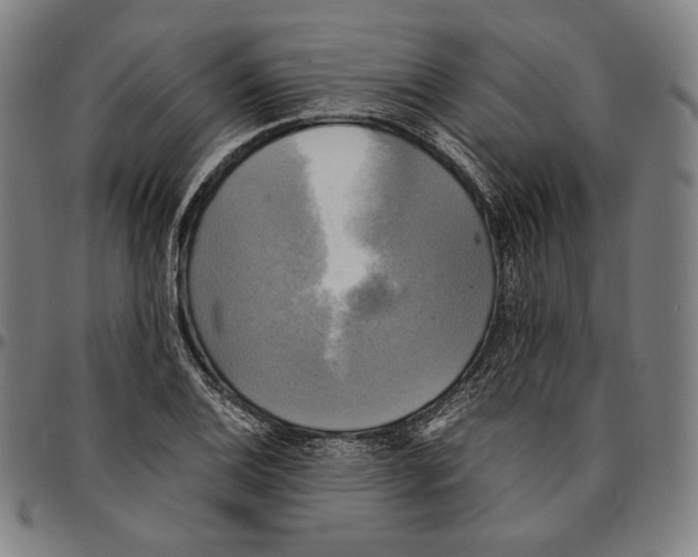 X0000095121124200801041217