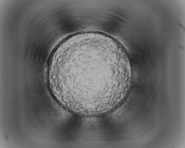 X0000095121126200801041217