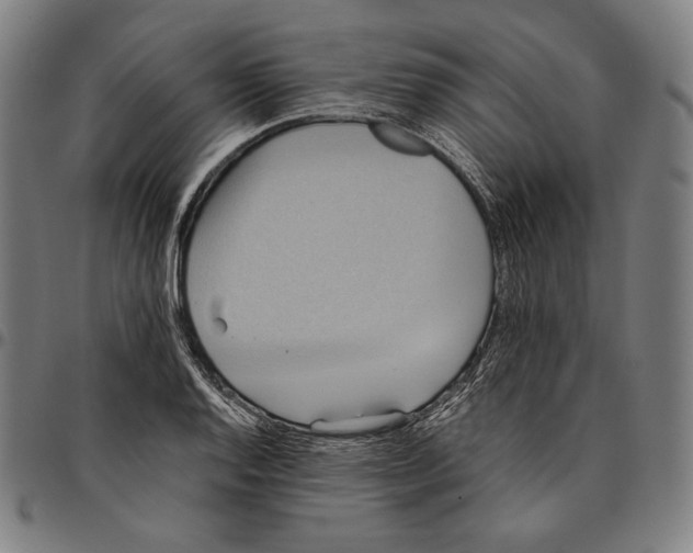 X0000095121128200801041217