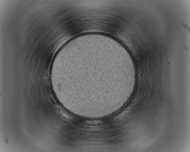 X0000095121129200801041217