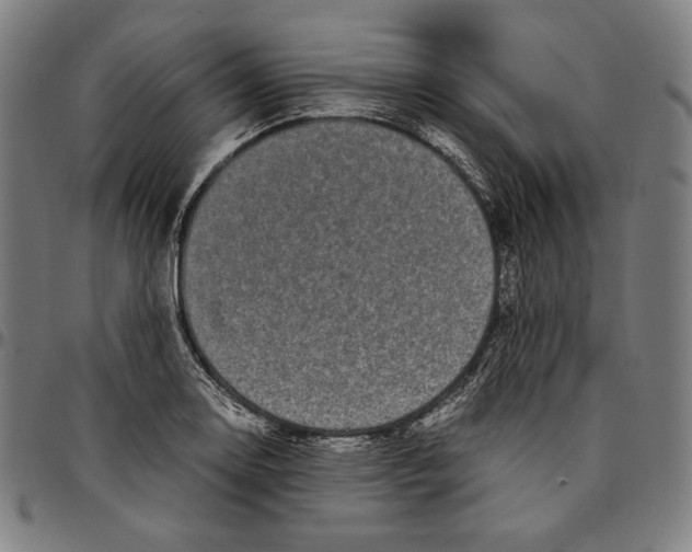 X0000095121130200801041217