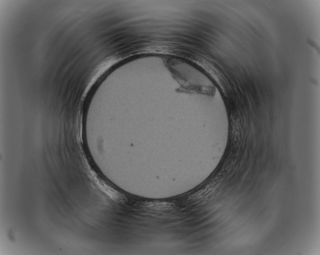 X0000095121131200801041217