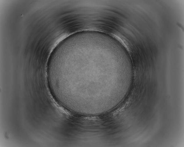 X0000095121133200801041217