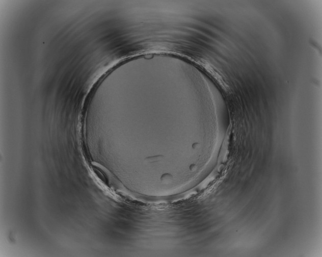 X0000095121134200801041217