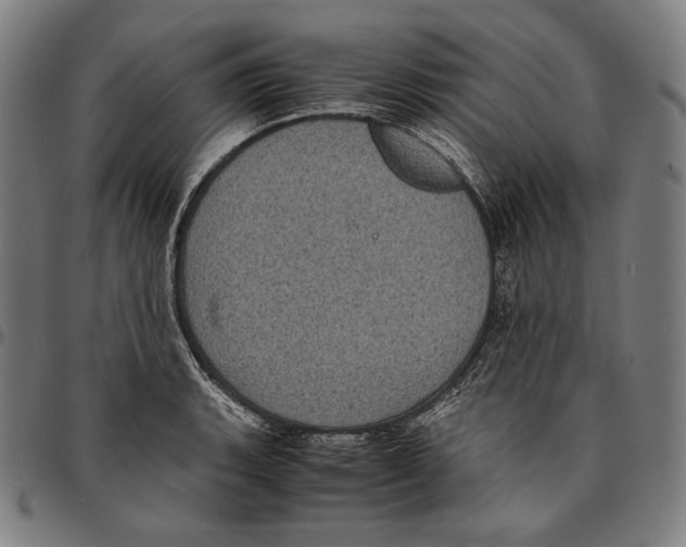 X0000095121135200801041217