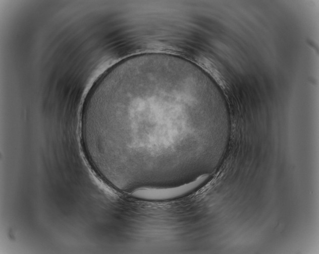 X0000095121136200801041217